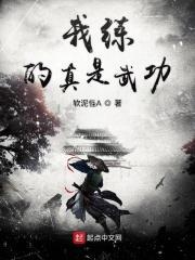 我练的真是武功 我练的真是武功