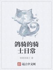 鸽骑的骑士日常 鸽骑的骑士日常
