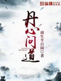 丹心问道 丹心问道
