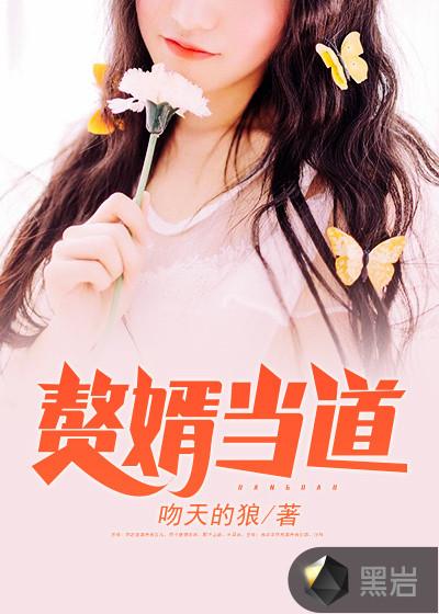 上门赘婿 上门赘婿