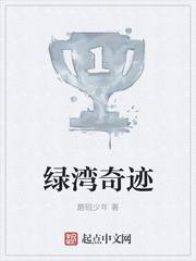绿湾奇迹 绿湾奇迹