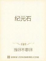 纪元石 纪元石