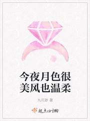 今夜月色很美风也温柔 今夜月色很美风也温柔