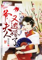 爷,夫人又逃婚了 爷,夫人又逃婚了