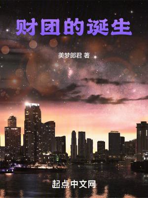 财团的诞生 财团的诞生