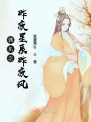 遇见之昨夜星辰昨夜风 遇见之昨夜星辰昨夜风