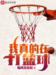 我真的在打篮球 我真的在打篮球