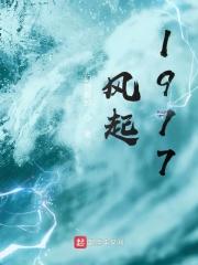 风起1977 风起1977
