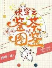 快穿之鉴茶图鉴 快穿之鉴茶图鉴