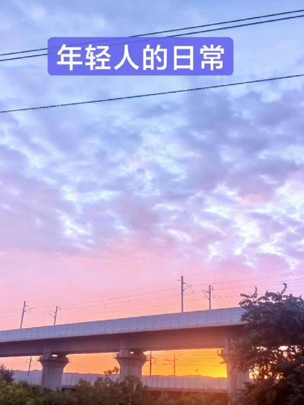 年轻人的日常 年轻人的日常