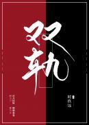 双轨 双轨