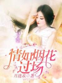 情如烟花过场 情如烟花过场