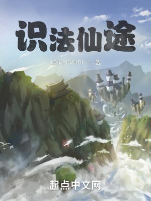 识法仙途 识法仙途