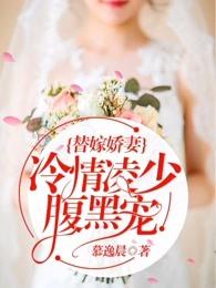 替嫁娇妻:冷情凌少腹黑宠 替嫁娇妻:冷情凌少腹黑宠