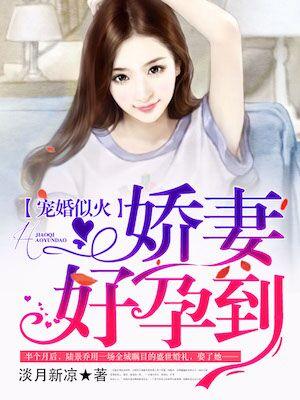 宠婚似火:娇妻,好孕到! 宠婚似火:娇妻,好孕到!