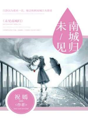 未见南城归 未见南城归