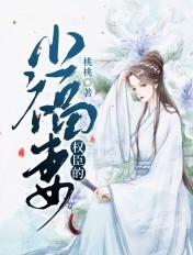 权臣的小福妻 权臣的小福妻