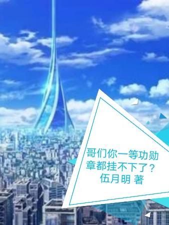 哥们?你一等功勋章都挂不下了? 哥们?你一等功勋章都挂不下了?