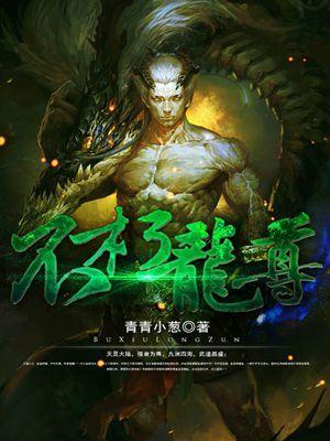 不朽龙尊 不朽龙尊
