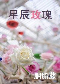 星辰玫瑰 星辰玫瑰
