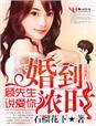 婚到浓时,顾先生说爱你 婚到浓时,顾先生说爱你