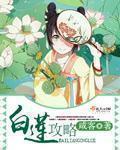 白莲攻略 白莲攻略