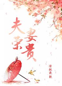 夫荣妻贵 夫荣妻贵