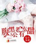 腹黑老公有点甜 腹黑老公有点甜