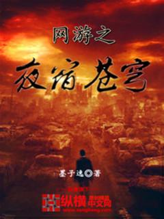 网游之夜宿苍穹 网游之夜宿苍穹