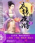 衣锦夜游 衣锦夜游
