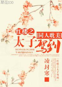 红楼之太子驾到 红楼之太子驾到