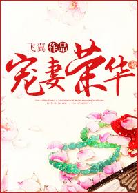 宠妻荣华 宠妻荣华
