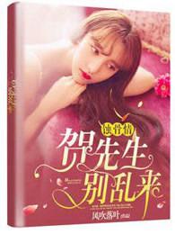 蚀骨情:贺先生,别乱来 蚀骨情:贺先生,别乱来