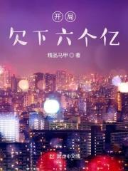 开局欠下六个亿 开局欠下六个亿
