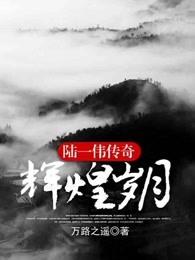 辉煌岁月:陆一伟传奇 辉煌岁月:陆一伟传奇