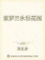 紫罗兰永恒花园 紫罗兰永恒花园