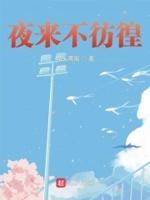 夜来不彷徨 夜来不彷徨