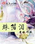 珠箔泪 珠箔泪
