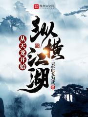 从天龙开始纵横江湖 从天龙开始纵横江湖