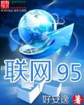 联网95 联网95