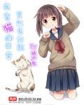 我家猫的日常果然有问题 我家猫的日常果然有问题