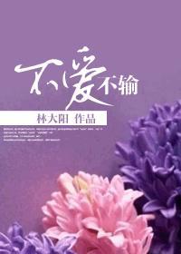 不爱不输 不爱不输