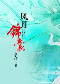 风月锦囊 风月锦囊