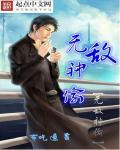 无敌神偷 无敌神偷