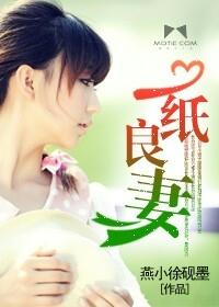 一纸良妻 一纸良妻