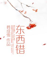 东西错 东西错