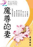 魔尊的妻 魔尊的妻