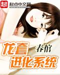龙套进化系统 龙套进化系统