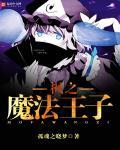 枫之魔法王子 枫之魔法王子