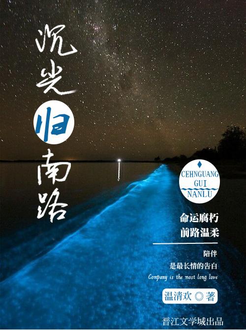 沉光归南路 沉光归南路